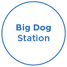 Big Dog Station