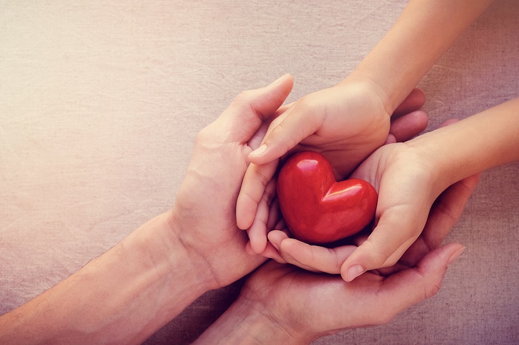 adult and child hands holding red heart